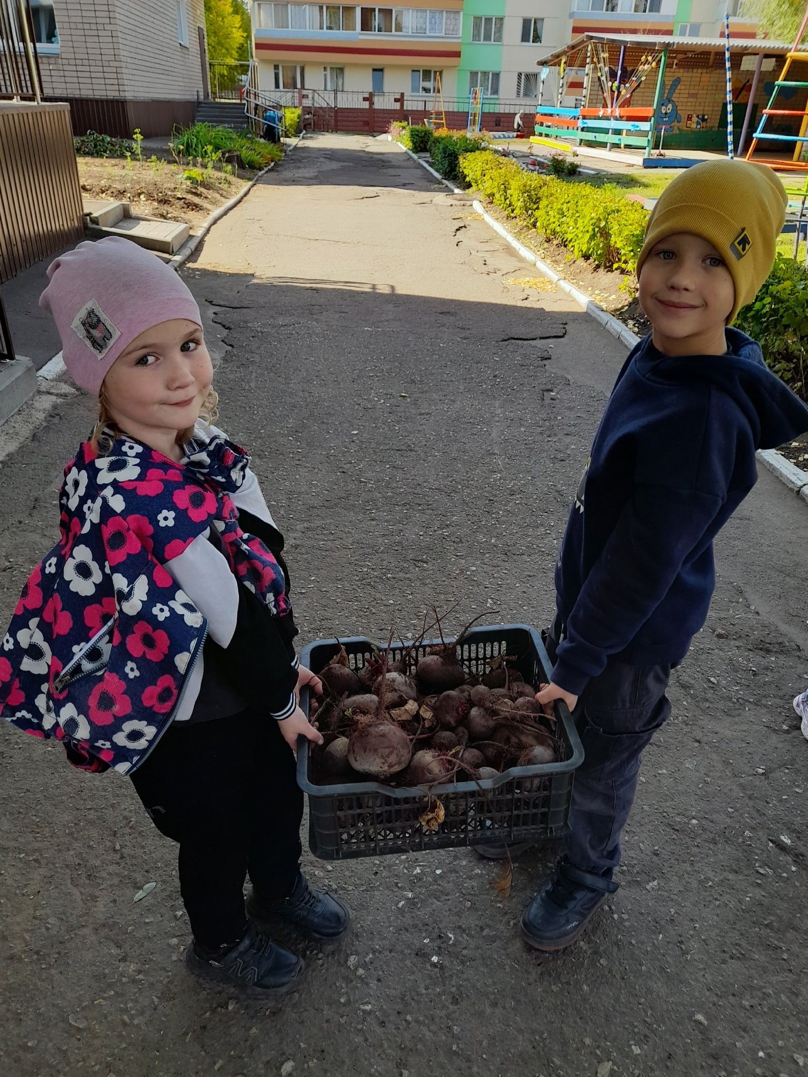 Воспитанники детского сада «Золотая рыбка» собрали богатый урожай свеклы