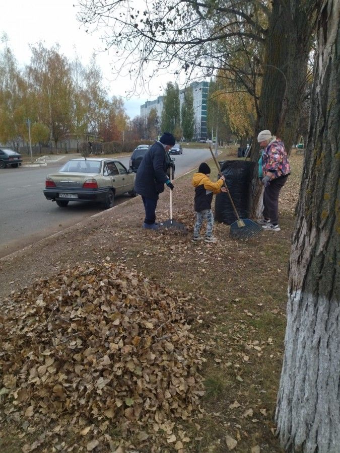 В Камских Полянах стартовали осенние санитарные средники