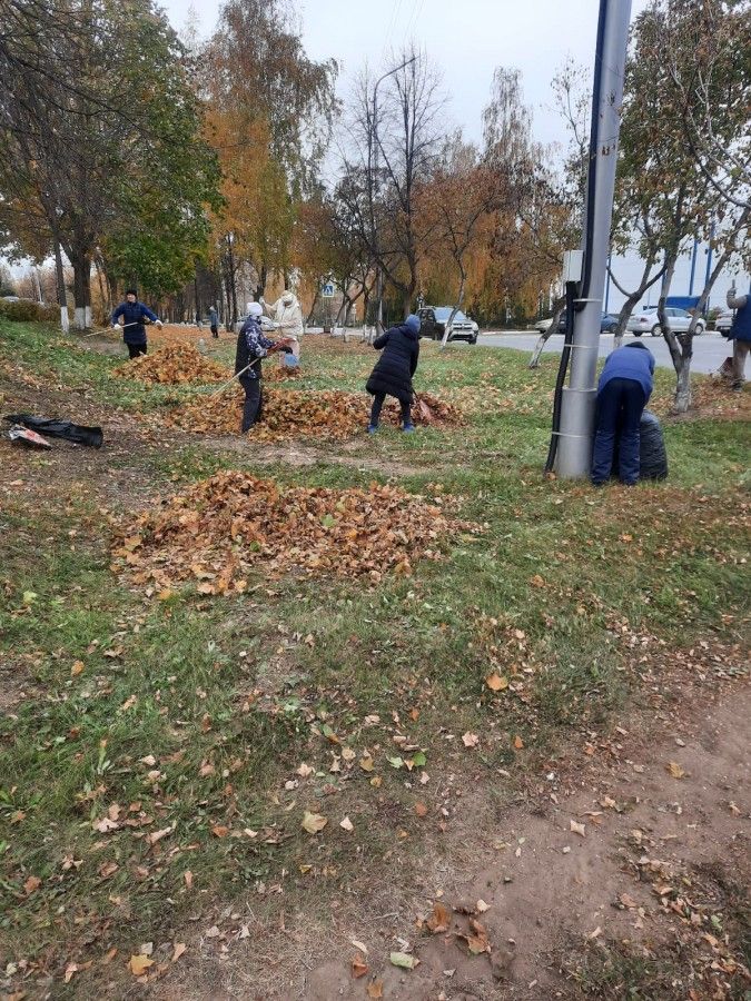 В Камских Полянах стартовали осенние санитарные средники