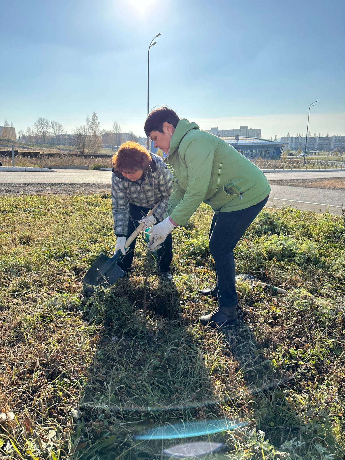 В Камских Полянах организована посадка саженцев