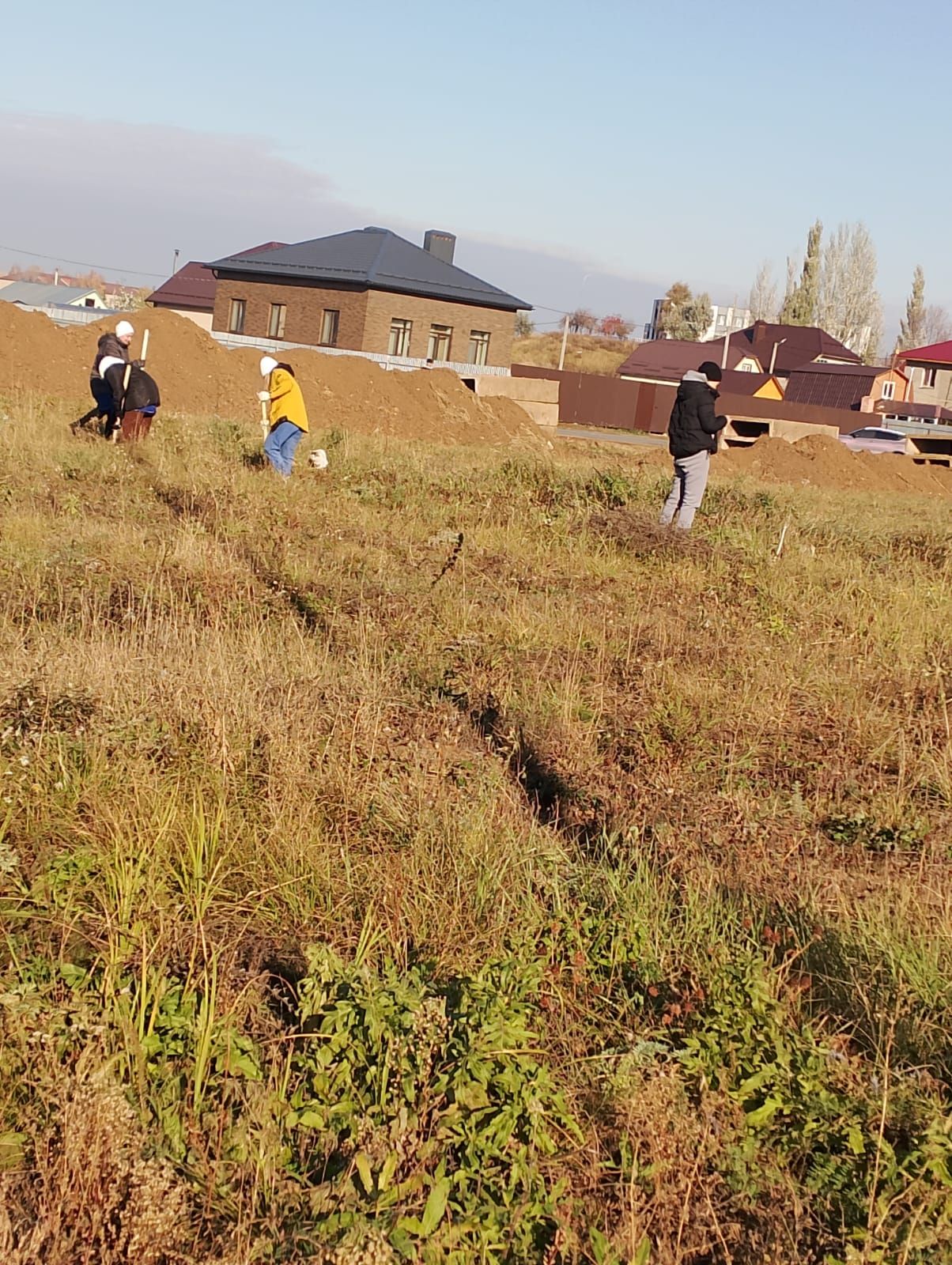 В Камских Полянах организована посадка саженцев