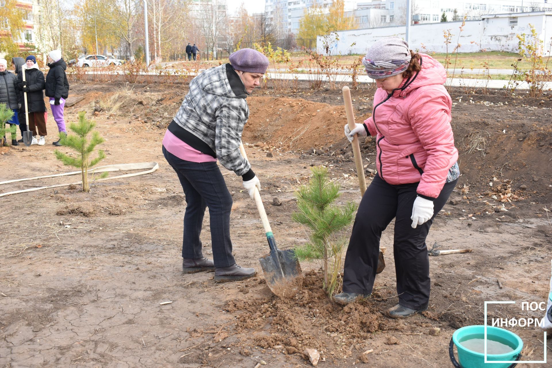 В Камских Полянах в честь 80-летия победы высадили саженцы сосен