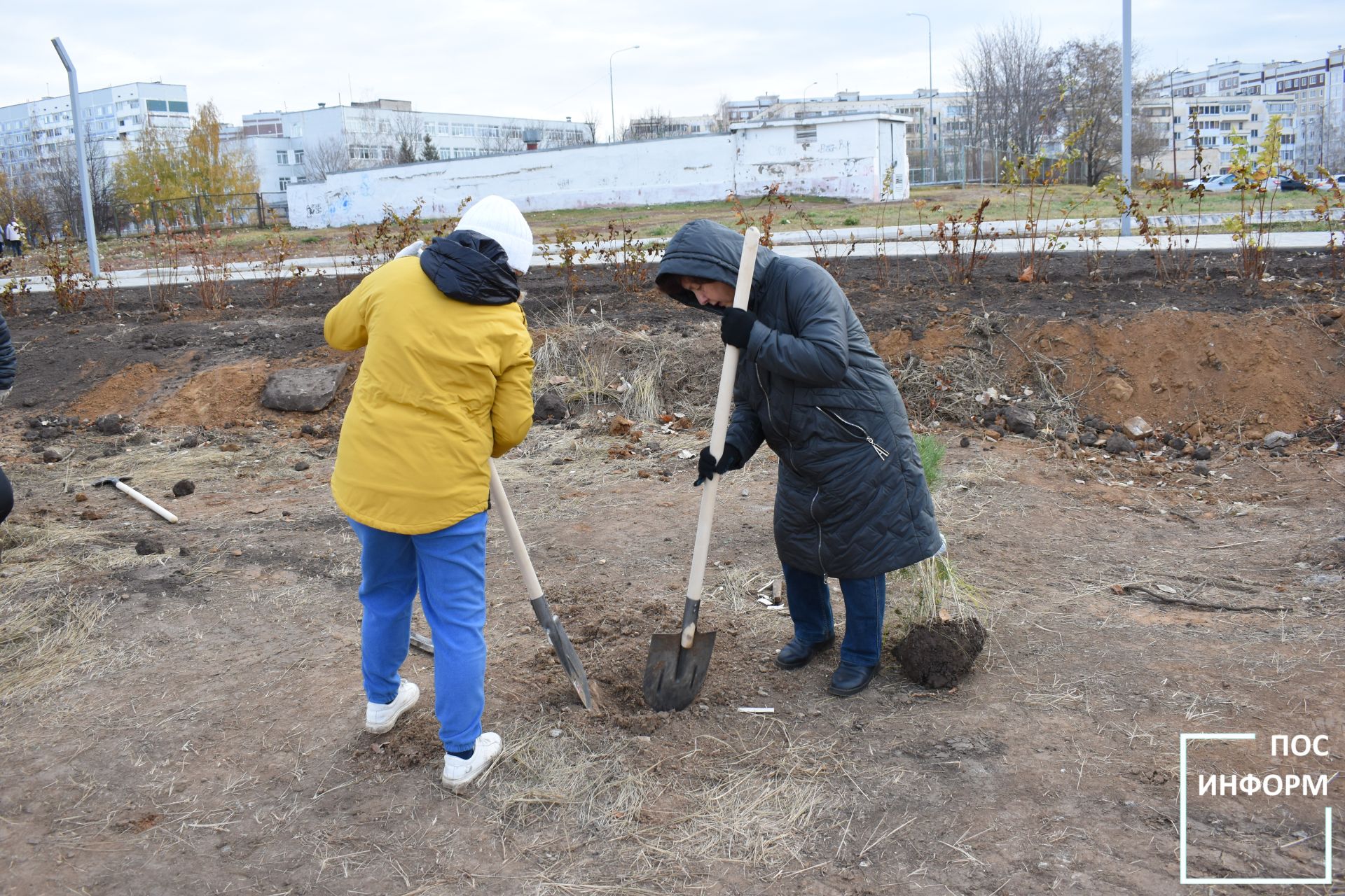 В Камских Полянах в честь 80-летия победы высадили саженцы сосен