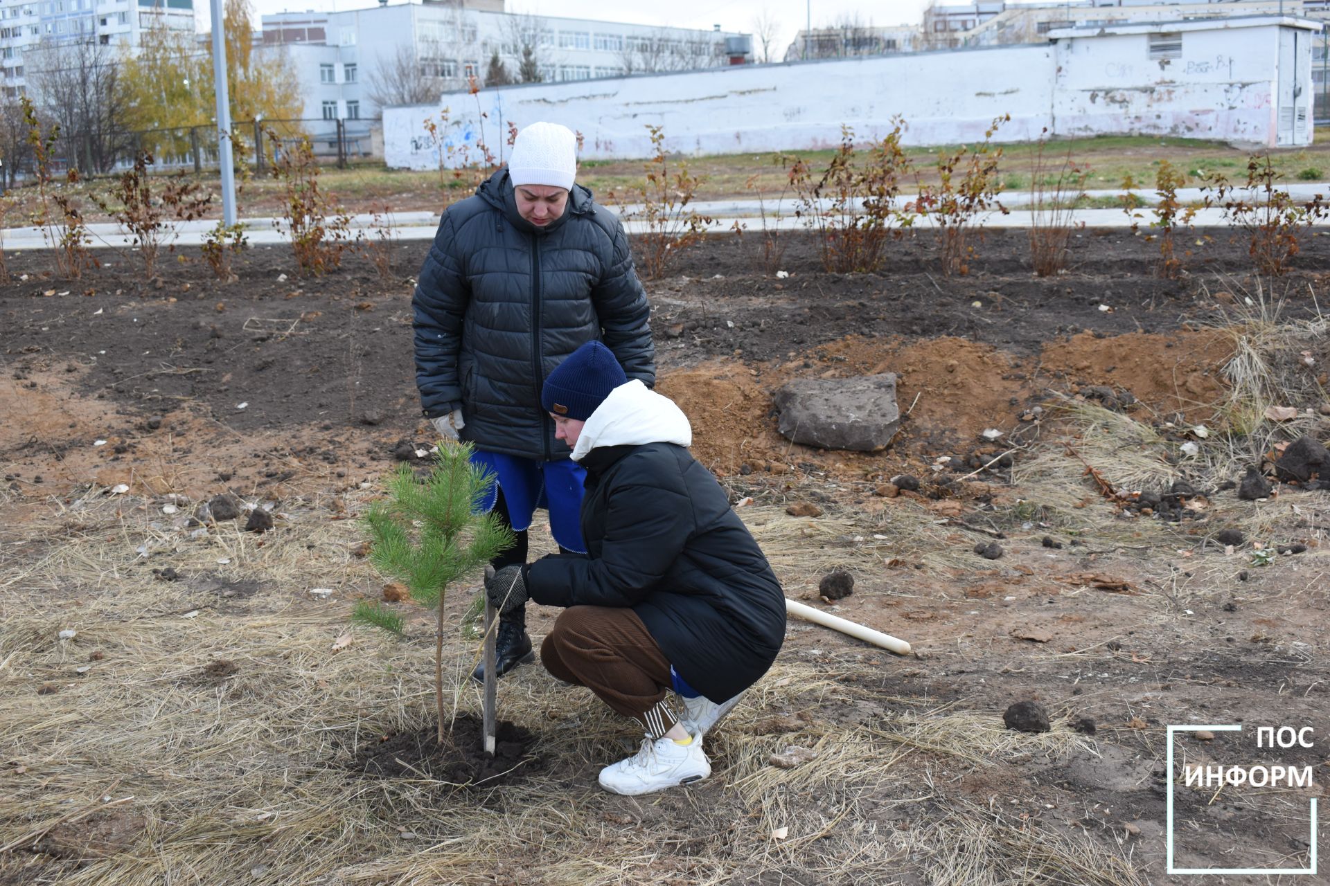 В Камских Полянах в честь 80-летия победы высадили саженцы сосен