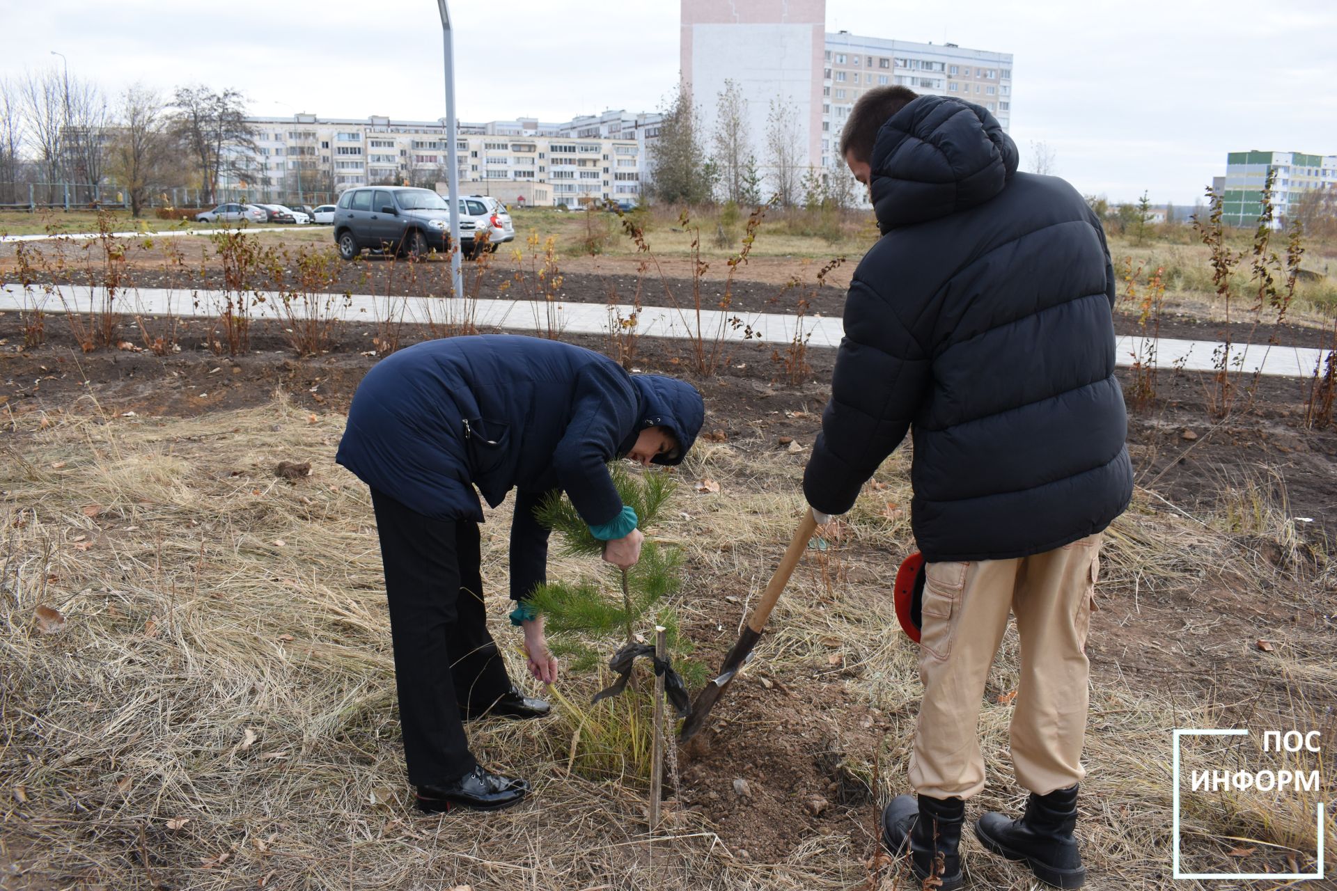 В Камских Полянах в честь 80-летия победы высадили саженцы сосен