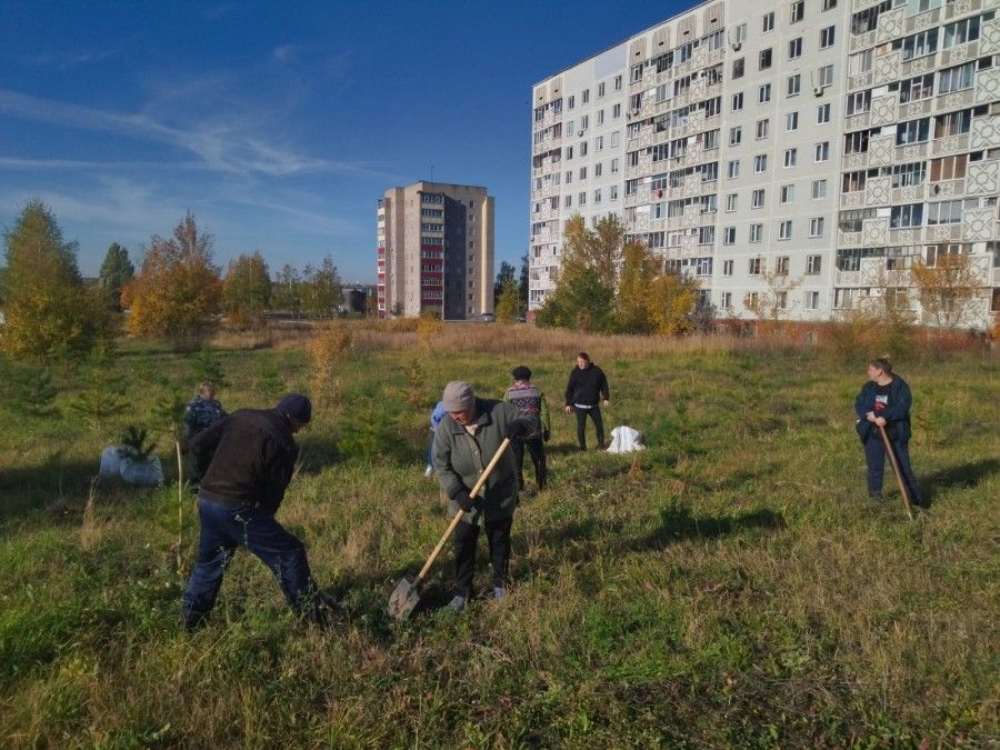 В Камских Полянах прошел первый этап осенней акции «Зеленая волна»