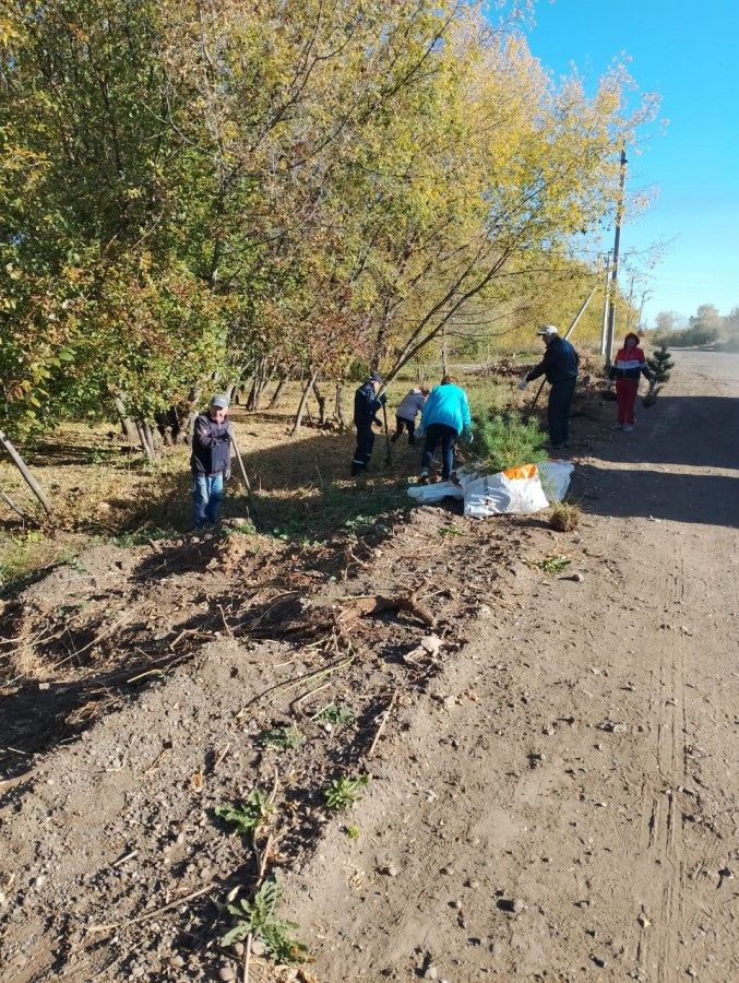 В Камских Полянах прошел первый этап осенней акции «Зеленая волна»