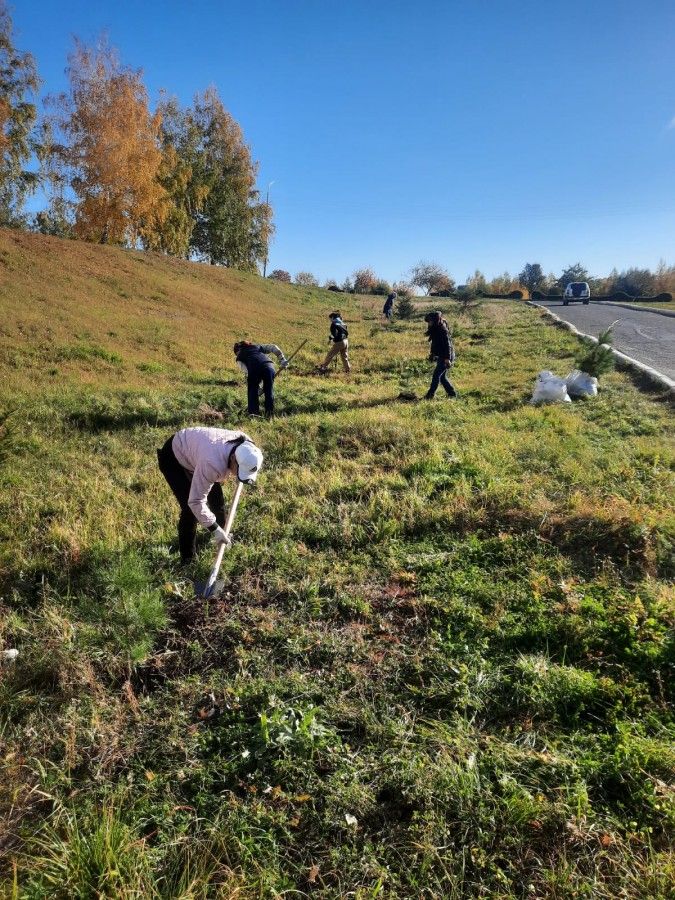 В Камских Полянах прошел первый этап осенней акции «Зеленая волна»