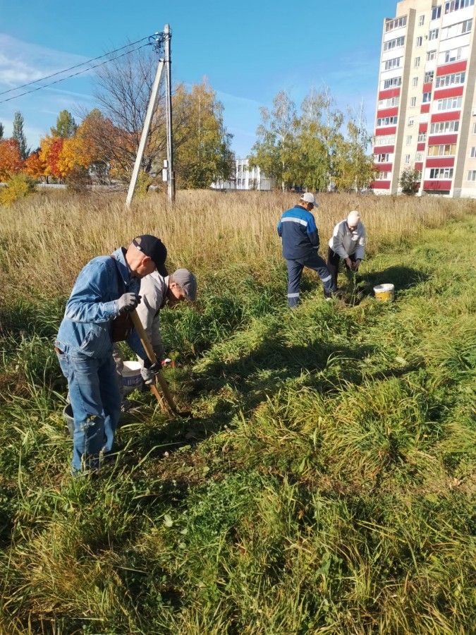 В Камских Полянах прошел первый этап осенней акции «Зеленая волна»