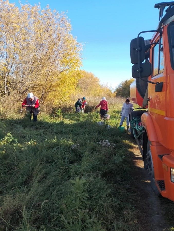 В Камских Полянах прошел первый этап осенней акции «Зеленая волна»