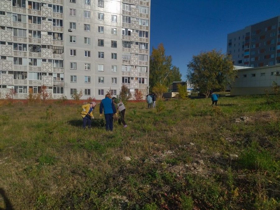 В Камских Полянах прошел первый этап осенней акции «Зеленая волна»