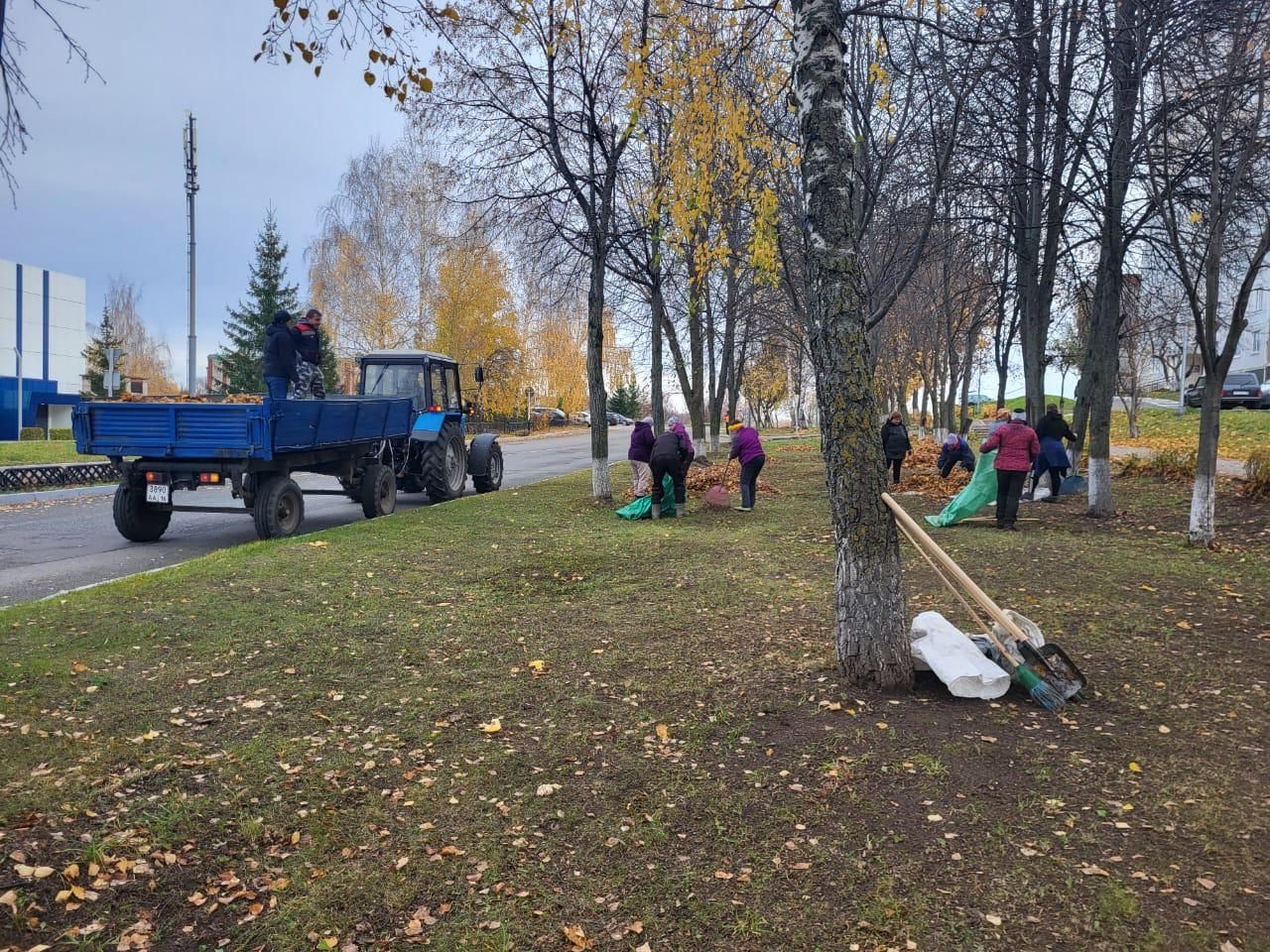 В Камских Полянах продолжается осенний санитарный месячник