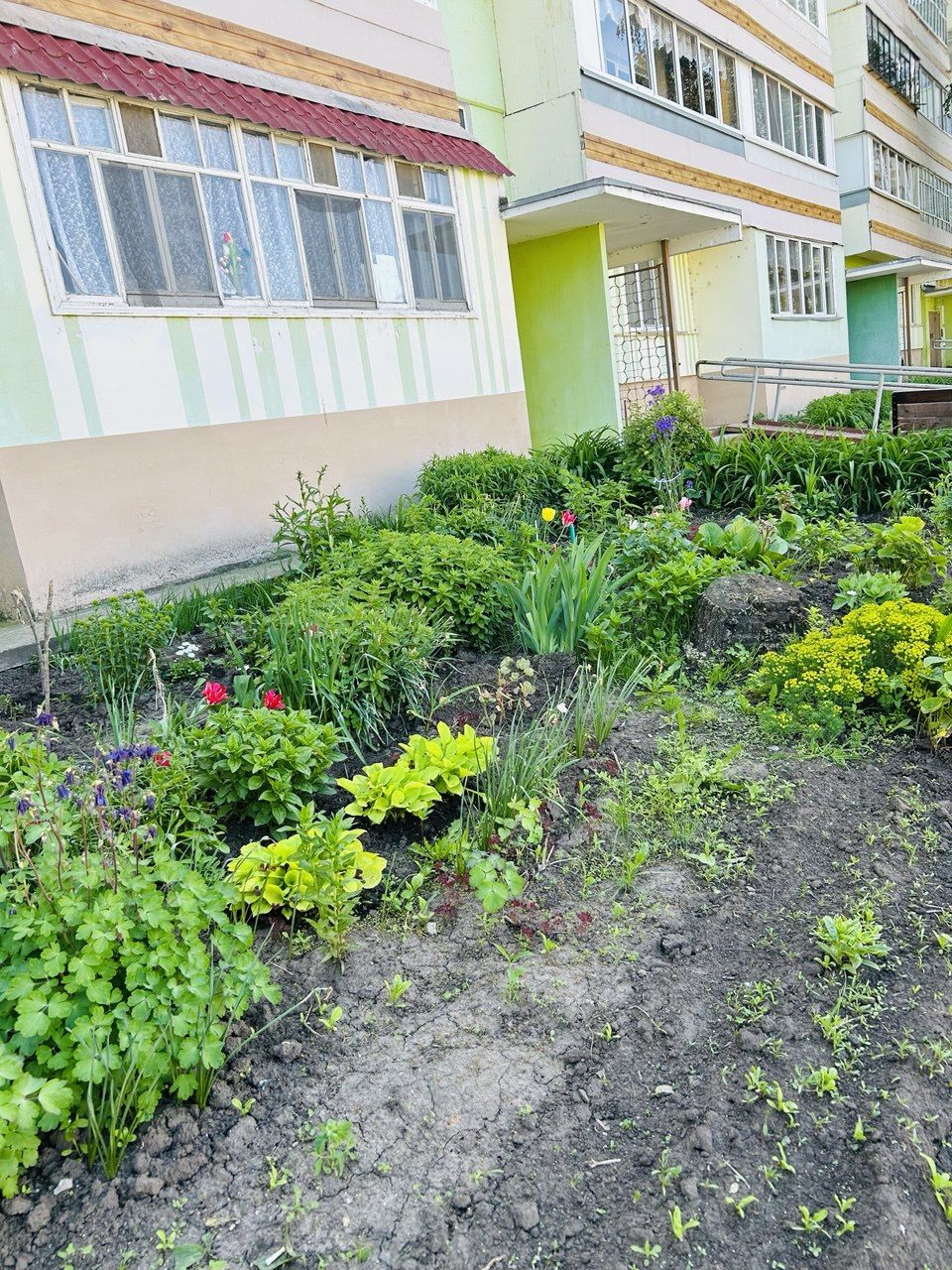 Камские Поляны расцветают: яркие клумбы и уютные дворики радуют жителей