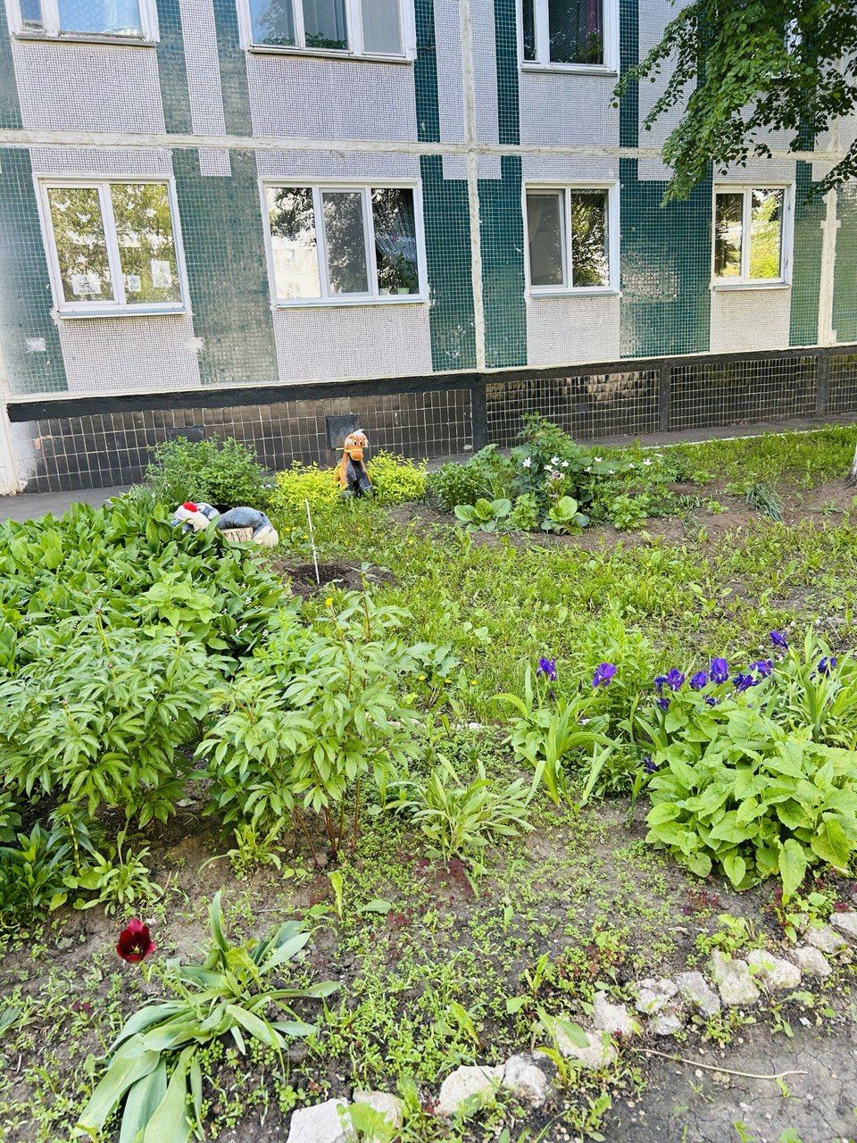 Камские Поляны расцветают: яркие клумбы и уютные дворики радуют жителей