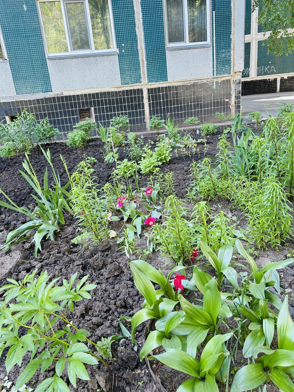 Камские Поляны расцветают: яркие клумбы и уютные дворики радуют жителей