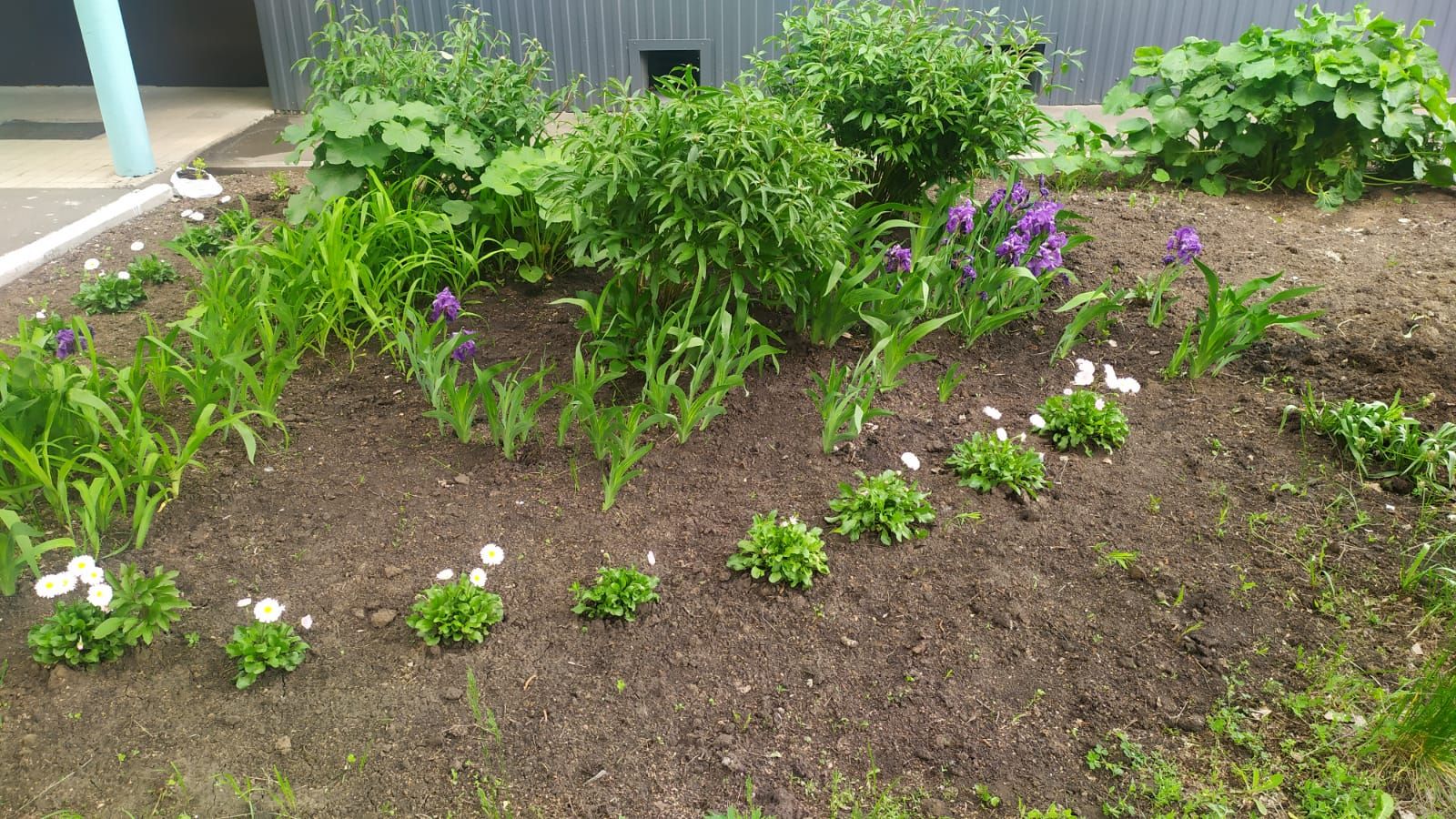 Камские Поляны расцветают: яркие клумбы и уютные дворики радуют жителей