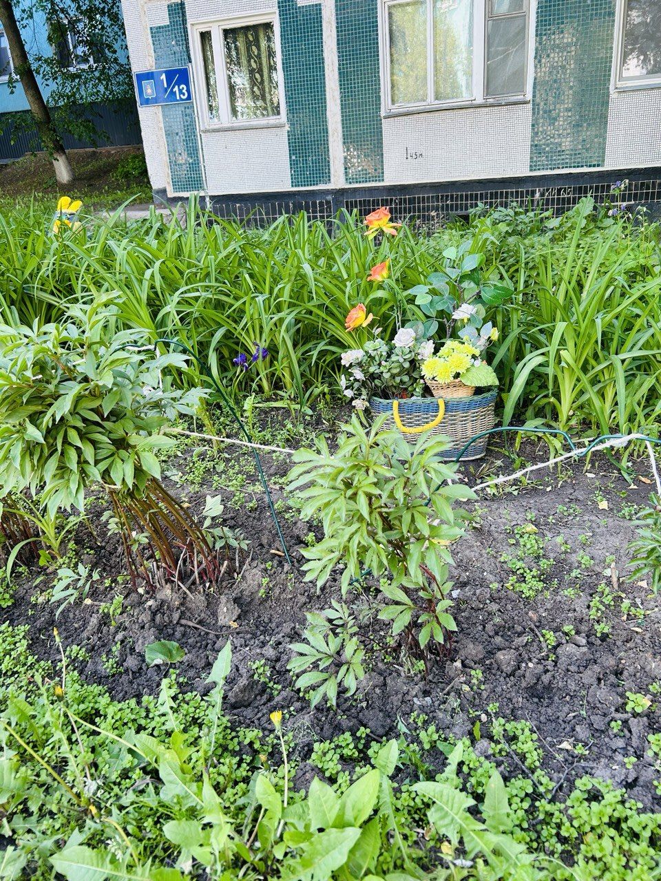 Камские Поляны расцветают: яркие клумбы и уютные дворики радуют жителей