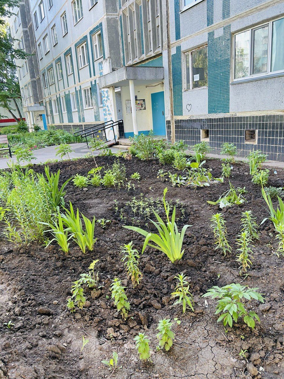 Камские Поляны расцветают: яркие клумбы и уютные дворики радуют жителей