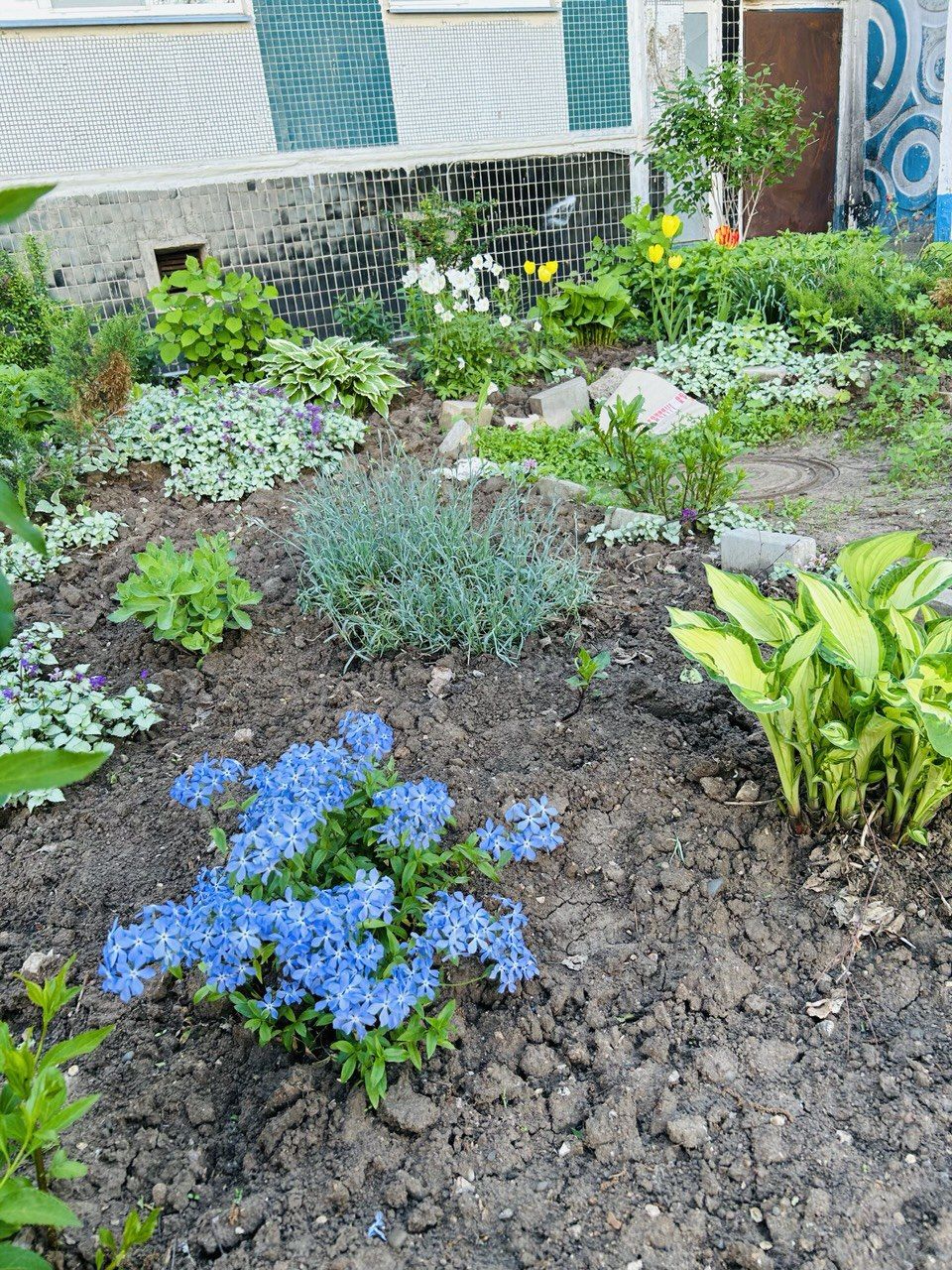 Камские Поляны расцветают: яркие клумбы и уютные дворики радуют жителей