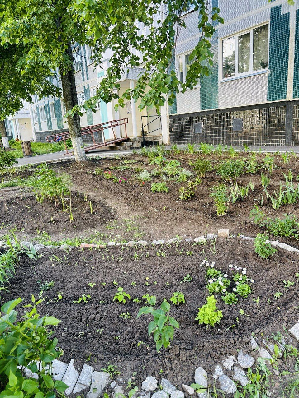 Камские Поляны расцветают: яркие клумбы и уютные дворики радуют жителей