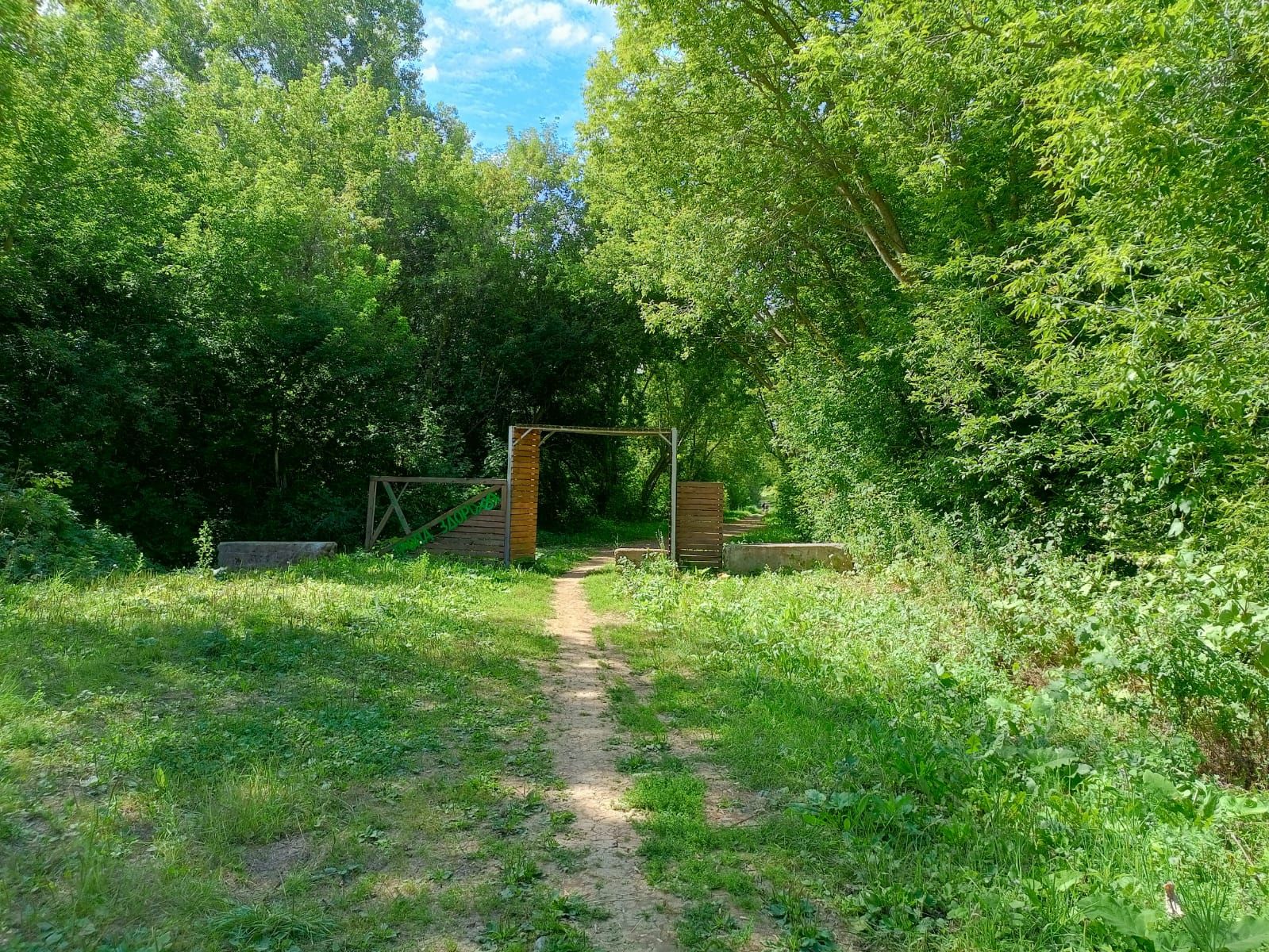 Тропа здоровья в Камских Полянах: гармония природы и активного отдыха