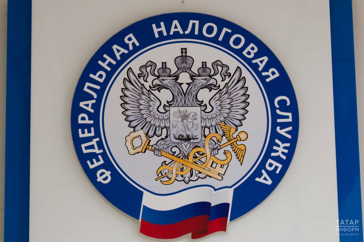 Налоговики Татарстана напомнили о возможности проверить данные об имуществе онлайн