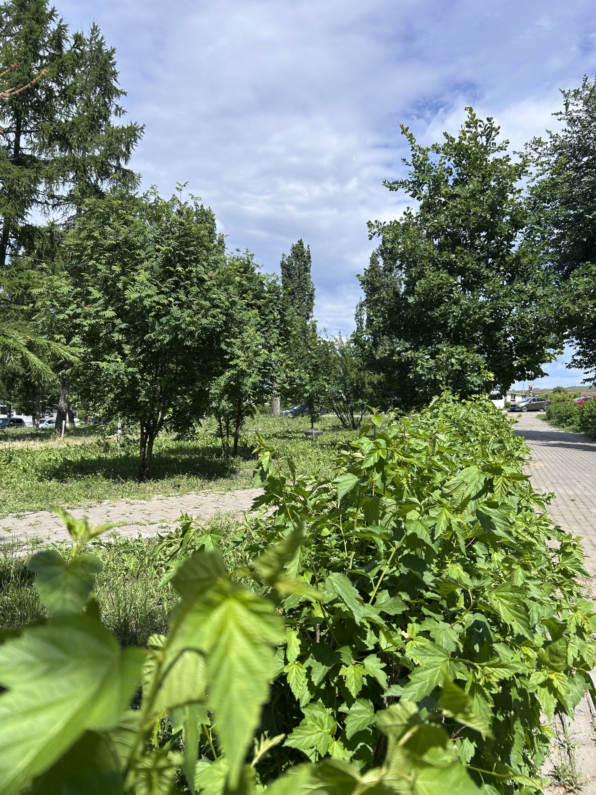 Камские Поляны: Уютный край на берегу  реки, фоторепортаж