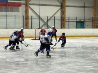 В ледовом дворце «Олимпия» Камских Полян состоялось первенство РТ по хоккею