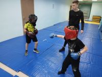 В Камских Полянах прошло Первенство НМР РТ по боксу