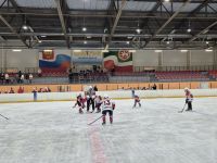 Юные хоккеисты «Олимпии» Камских Полян сражались до конца в матче Первенства Татарстана