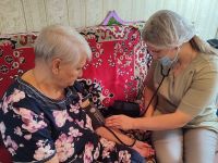 Врачи Камско-Полянской больницы проводят осмотры пожилых людей на дому