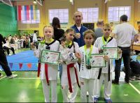 Воспитанники спортшколы № 5 Камских Полян успешно выступили на открытом турнире по тхэквондо
