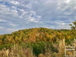 В Татарстане планируют досрочно отменить ограничение на посещение лесов