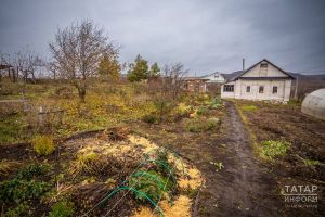 Что можно посадить в огороде во второй половине октября