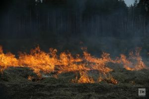 Из-за высокой пожароопасности лесов в Татарстане объявлено штормовое предупреждение