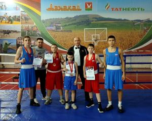 Спортсмены Камских Полян успешно выступили на турнире по боксу