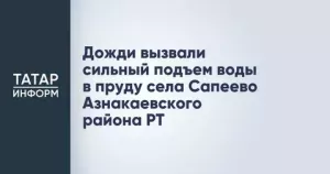 Дожди вызвали сильный подъем воды в пруду села Сапеево Азнакаевского района РТ