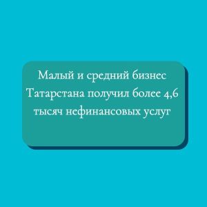 Малый и средний бизнес Татарстана получил более 4,6 тысяч нефинансовых услуг