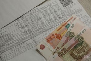 Депутат Чаплин рассказал о влиянии уровня дохода на льготы на ЖКУ
