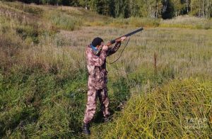 Стартовал сезон охоты на барсука в Татарстане