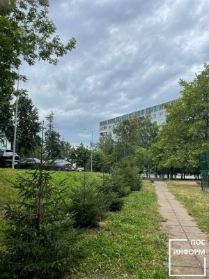 Дожди с грозами и потепление до +20 градусов ожидаются в Татарстане