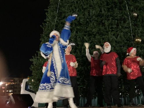 В экопарке «Оазис» зажглась главная елка