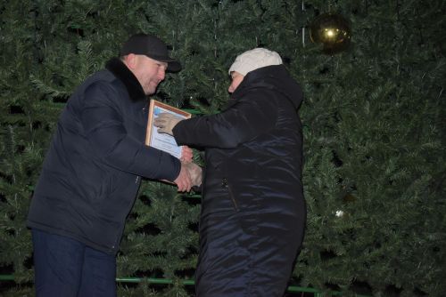 Торжественное открытие главной ёлки в Камских Полянах
