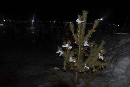 Торжественное открытие главной ёлки в Камских Полянах