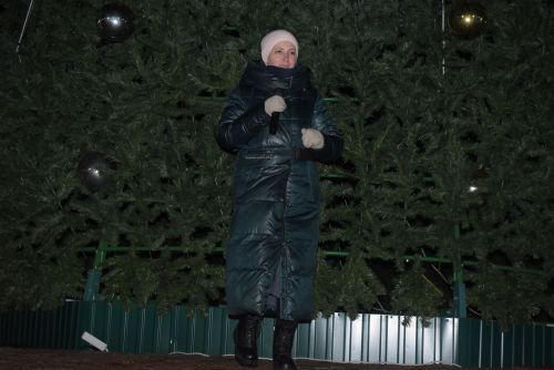 Торжественное открытие главной ёлки в Камских Полянах