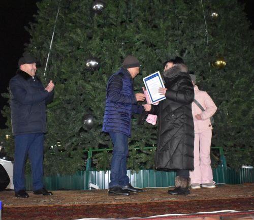 Торжественное открытие главной ёлки в Камских Полянах