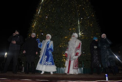 Торжественное открытие главной ёлки в Камских Полянах