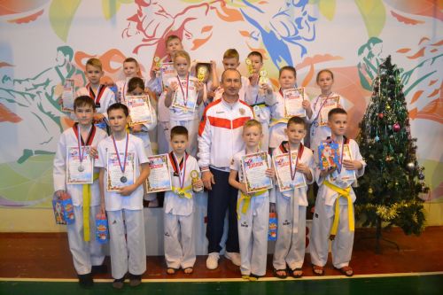 В Камских Полянах прошел Открытый турнир по тхэквондо на призы Деда Мороза