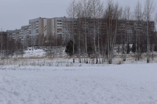 Жители Камских Полян приняли участие в «Лыжне России - 2023» (ФОТОРЕПОРТАЖ)