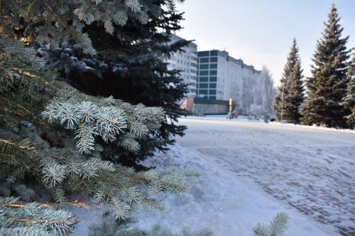 3 февраля: Чем знаменателен день
